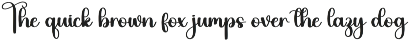 Ready | Script Font preview