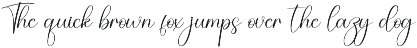 Wedding | Script Font preview