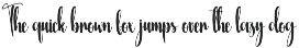 Rainday | Script Font preview