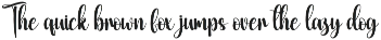 Shiny Wedding | Script Font preview