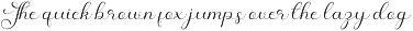 Flower Script Font font preview