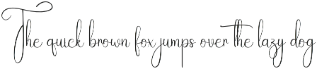 Rainday | Script Font preview