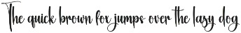 Watercolor | Script Font preview