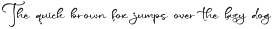 Beathovy Skiny preview