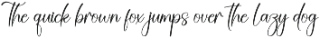 Amsterdam | Script Font preview