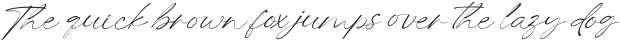 Merrys Handwritten Italic otf (400) Sample