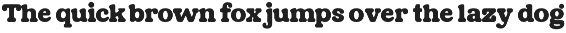 Black Friday - Bold Serif Font preview