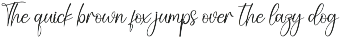Company | Script Font preview