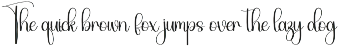 Homestay | Script Font preview