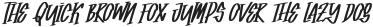 Union Lesson Italic otf (400) Sample