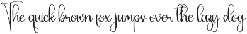 Vintage | Script Font preview