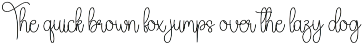 Wedding | Script Font preview
