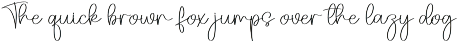 Whiskey | Script Font preview