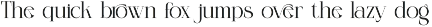 Forest Elegant Serif Font preview