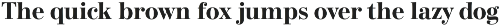 Bodoni Elegant preview