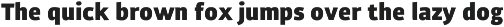 Carouge Pro preview