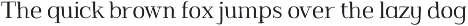 Kowalski2 preview