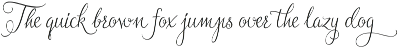 Jasminum preview