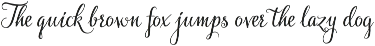 Rossellina preview