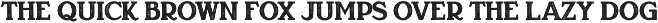 Vintage Fonts Collection preview