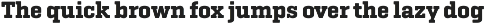 Geogrotesque Slab preview