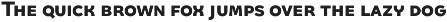 Quinoa preview