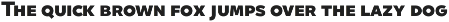 Quinoa preview