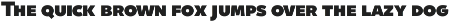 Quinoa preview