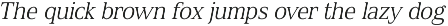 Spitzkant preview
