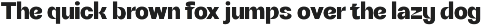 DuPlay preview