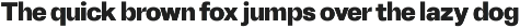 DuGrotesk preview