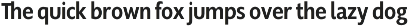 Supra Condensed preview