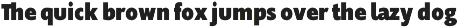 Supra Condensed preview