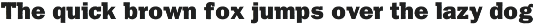 Franklin Gothic Raw Semi Serif preview