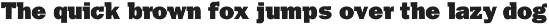 Franklin Gothic Raw Semi Serif preview