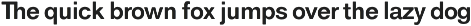 Classic Sans Rounded preview