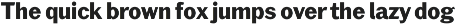 Brute Sans preview