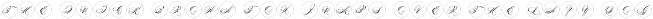 Bullets preview