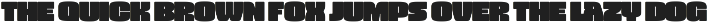 Vivala Black preview