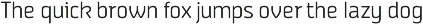 Vivala Sans preview