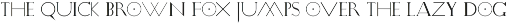 Drone preview