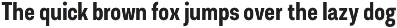Asket preview