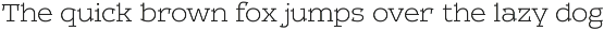 Leto One preview