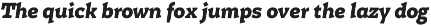 Certa Serif preview