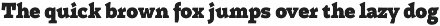 Certa Serif preview