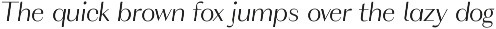WT Volkolak preview