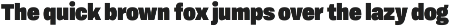 BF Konkret Grotesk Pro preview