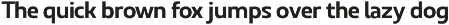 Ridtype Pro preview