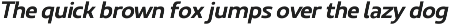 Ridtype Pro preview
