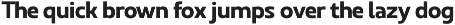 Ridtype Pro preview